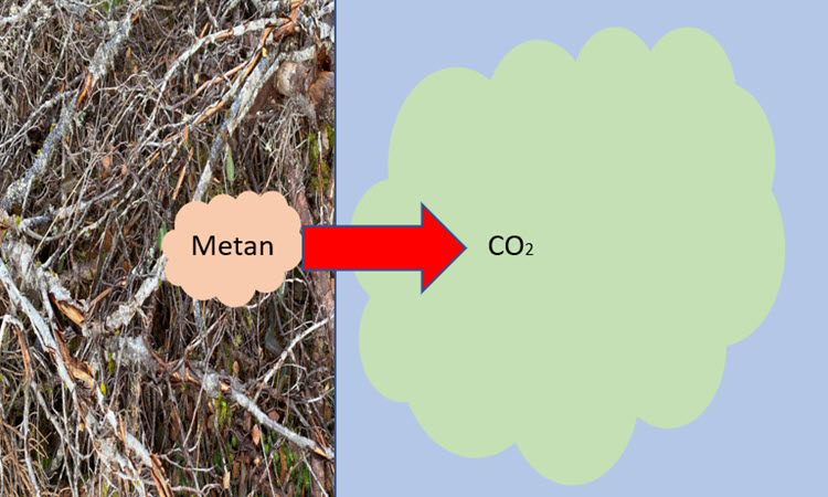 co2 ekvivalenter